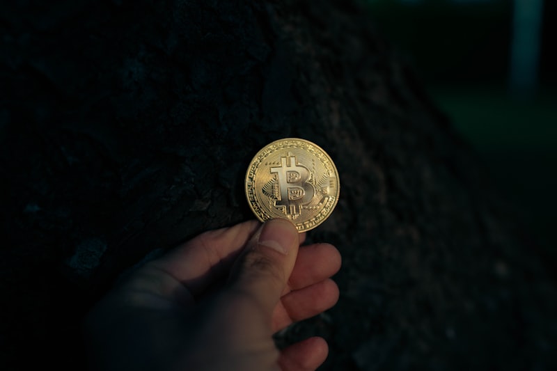 soyo apk unlimited coins